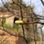 US Residential Construction Trends in 2023