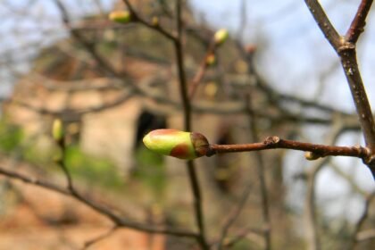 US Residential Construction Trends in 2023