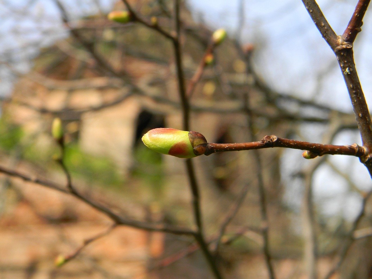 US Residential Construction Trends in 2023