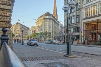 Case Studies of Successful Large-Scale Developments in the USA