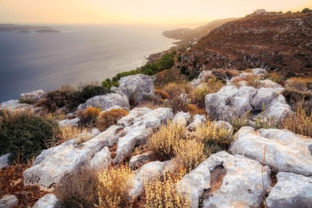 Exploring the Benefits of Eco-Tourism in Island Property Development