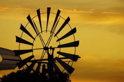 Festivals and Celebrations: Cultural Life on America’s Islands