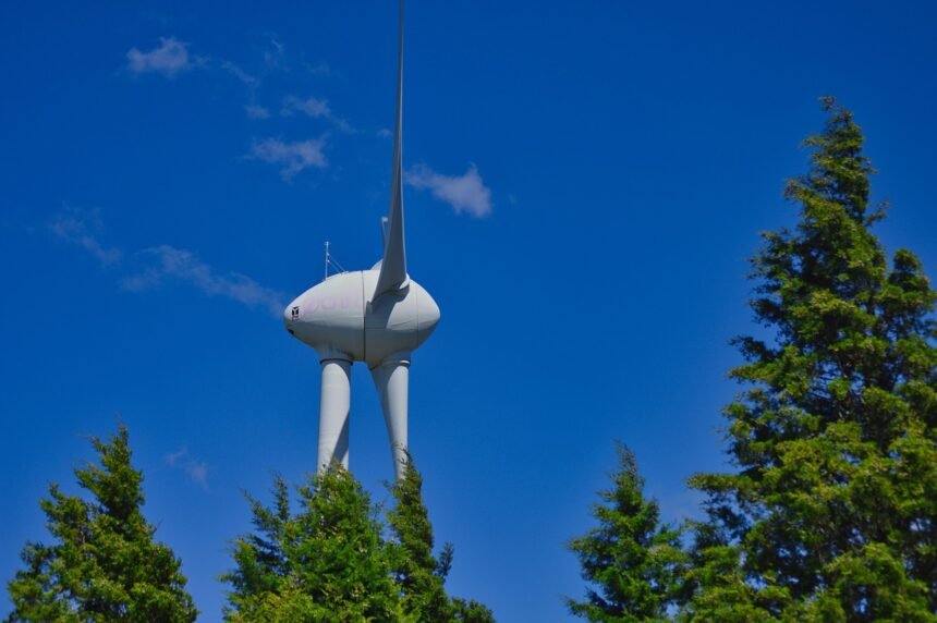 Green Infrastructure: Transforming Island Communities from the Ground Up