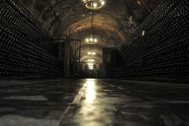 The Role of Last-Mile Delivery in Shaping Warehouse Locations