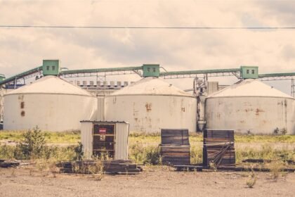 The Power of Insights: Transforming Data into Actionable Strategies