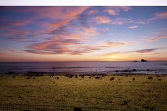 Coastal Charm: Lifestyle Insights for Island Property Buyers