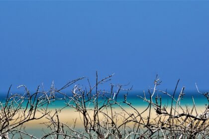 The Best Islands for Family Living: Safety