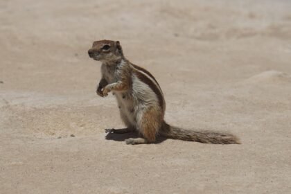 Island Escapes: Embracing the Unique Culture of US Territories