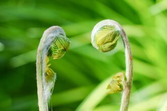 Key Residential Construction Updates in Massachusetts