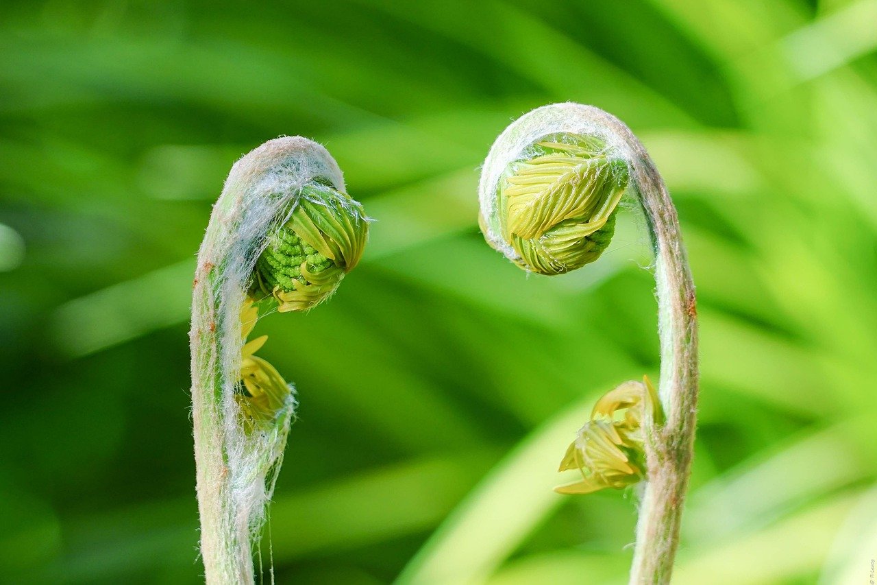 Key Residential Construction Updates in Massachusetts