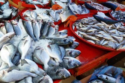 Trends in Affordable Housing: Where to Invest Now