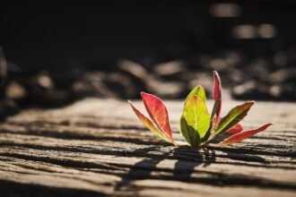 Major Housing Projects Launching in Colorado