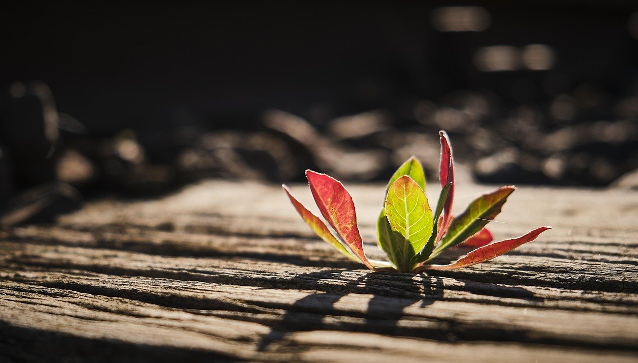 Major Housing Projects Launching in Colorado
