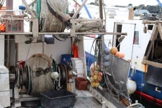 Evaluating the Future of Freight Management in Supply Chain Operations