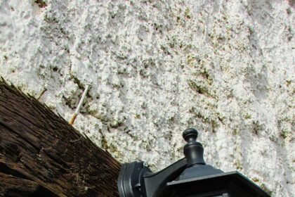 The Future of Sustainable Tourism in the American Hospitality Market