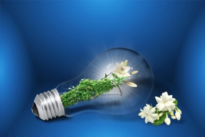 Green Infrastructure: Enhancing Island Living with Sustainability