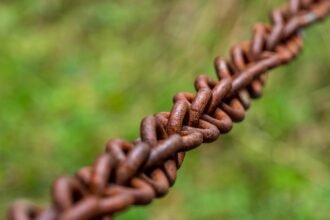 The Role of Drones in Shaping Future Distribution Strategies