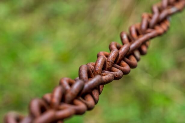 The Role of Drones in Shaping Future Distribution Strategies