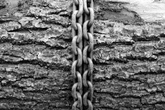 The Drive for Efficiency: Consolidation Trends in the Logistics Real Estate Market