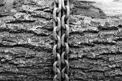 The Drive for Efficiency: Consolidation Trends in the Logistics Real Estate Market