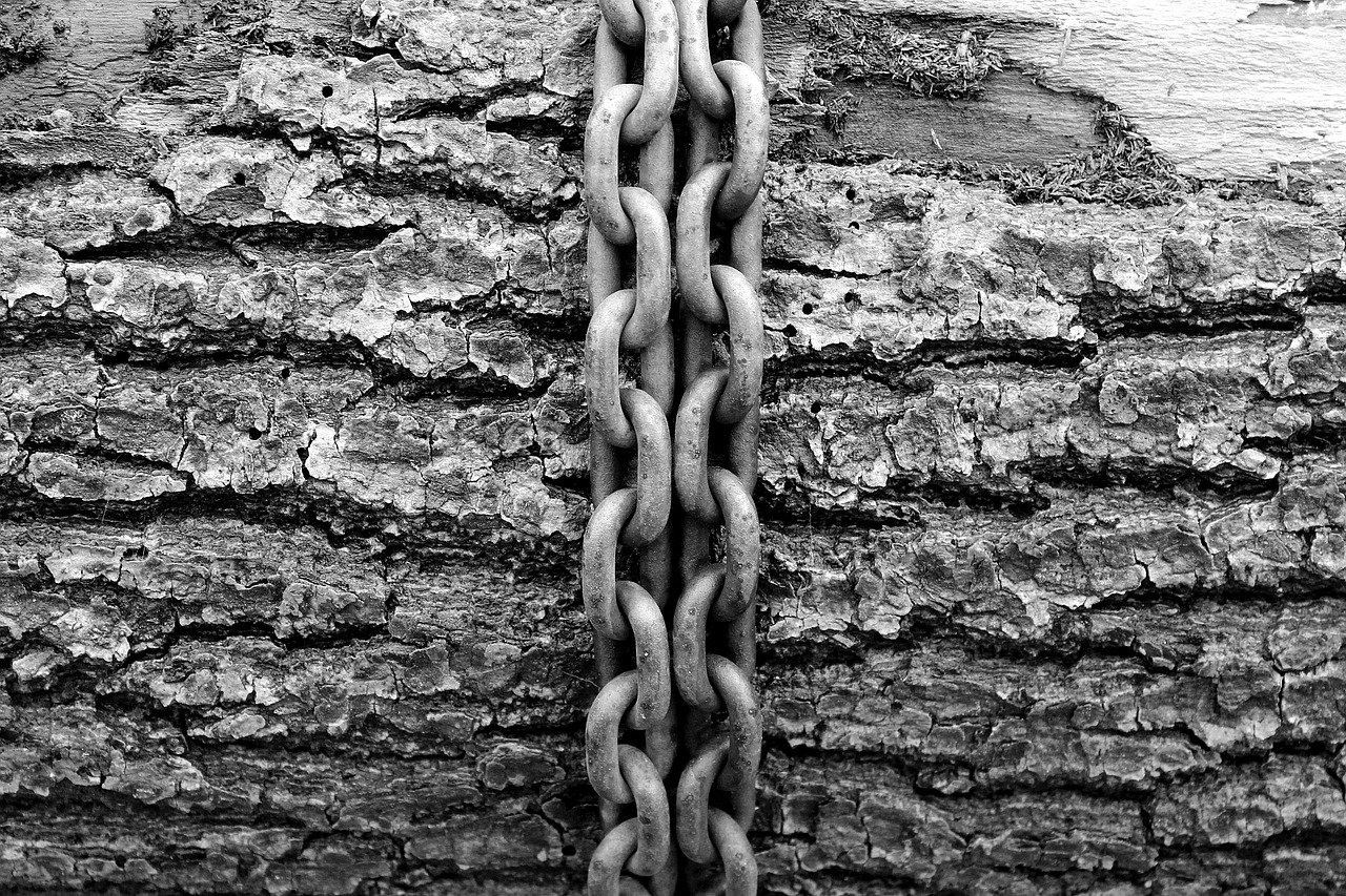 The Drive for Efficiency: Consolidation Trends in the Logistics Real Estate Market