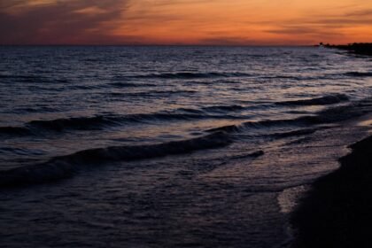 A Taste of Island Flavor: Culinary Experiences in US Territories