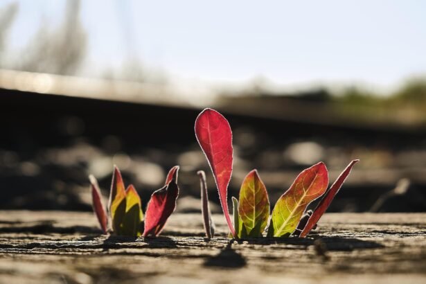 Exploring the Housing Market in Ohio's Major Cities