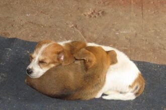 The Role of Technology in Transforming Industrial Spaces