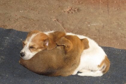 The Role of Technology in Transforming Industrial Spaces