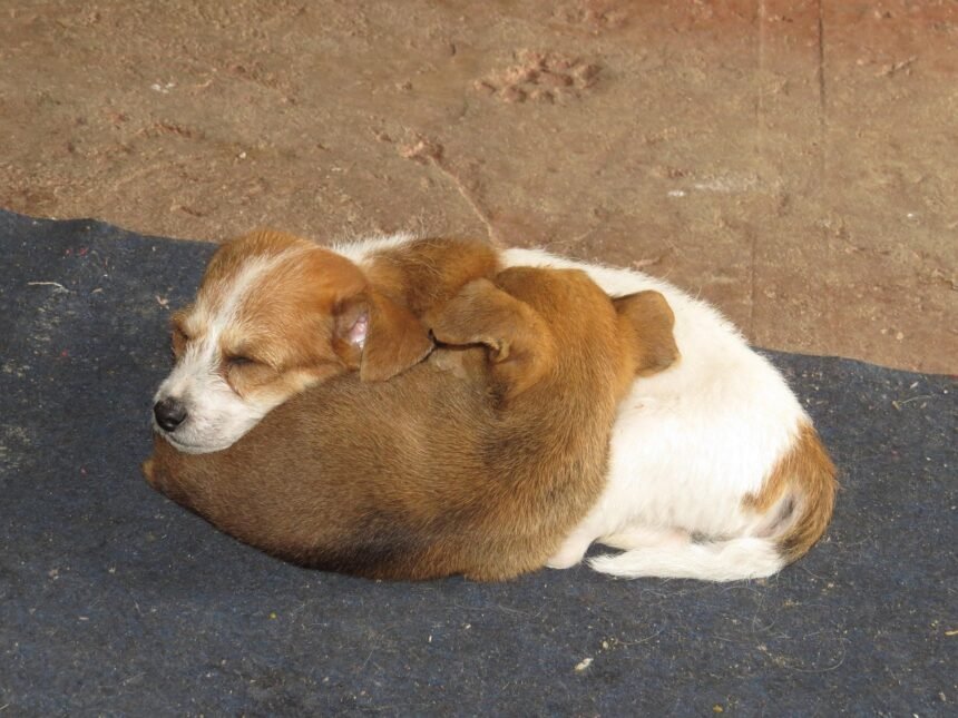 The Role of Technology in Transforming Industrial Spaces