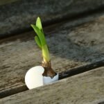 Emerging Trends in Smart Home Technology for Newly Built Homes