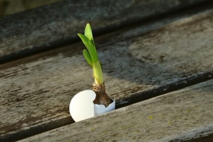 Emerging Trends in Smart Home Technology for Newly Built Homes