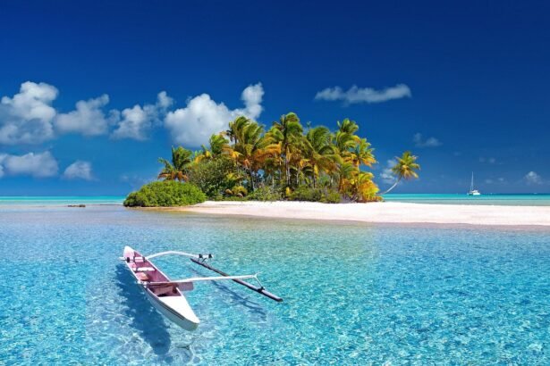Biophilic Design in Island Property Development: Enhancing Connection to Nature
