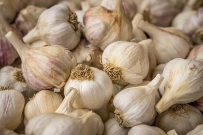 Luxury Real Estate Market Shows Signs of Stabilization