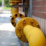 Sustainable Landscaping: Enhancing American Homes with Environmental Awareness