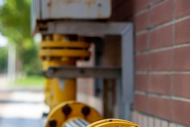 Sustainable Landscaping: Enhancing American Homes with Environmental Awareness