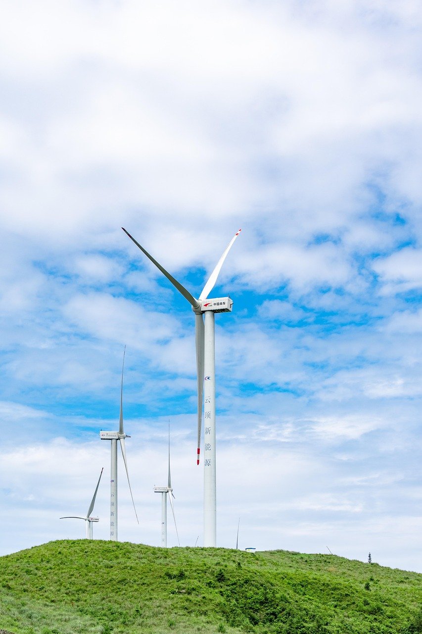 The Shift Toward Eco-Friendly Homes in Oregon