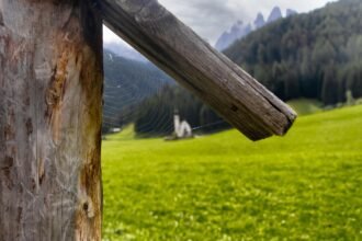 Island Paradises: Building Eco Homes in Harmony with the Environment