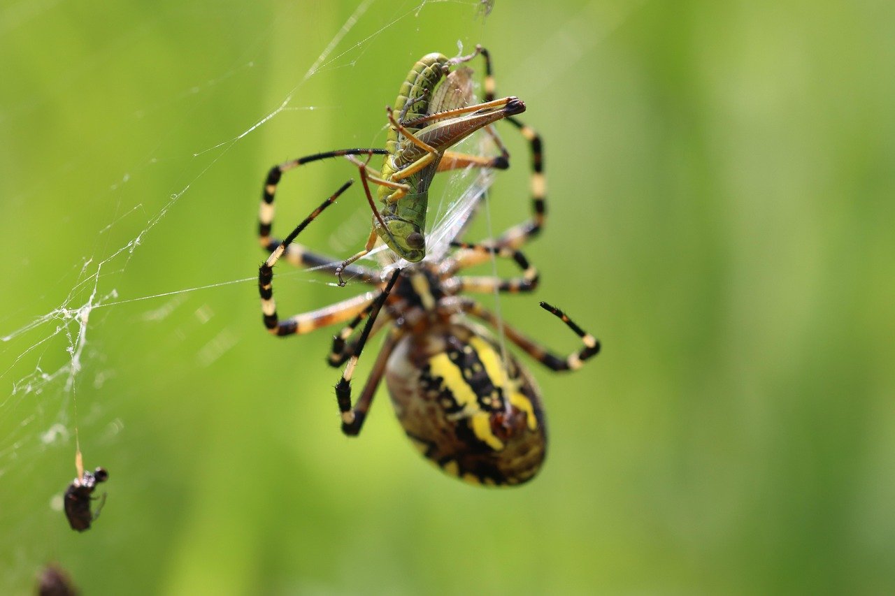 Funding Logistics Infrastructure: What’s Next for Real Estate Investors?