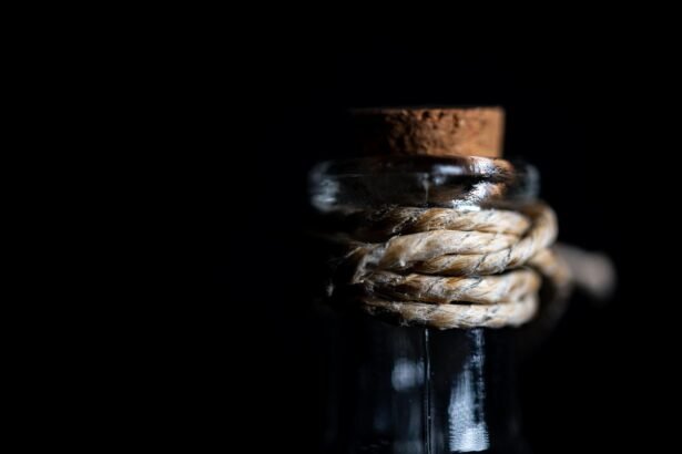 Adapting to Consumer Preferences: Trends in U.S. Hotel Experiences