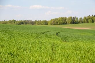 A Closer Look at Eco-Conscious Housing Projects in the U.S. Virgin Islands