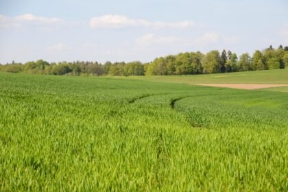 A Closer Look at Eco-Conscious Housing Projects in the U.S. Virgin Islands