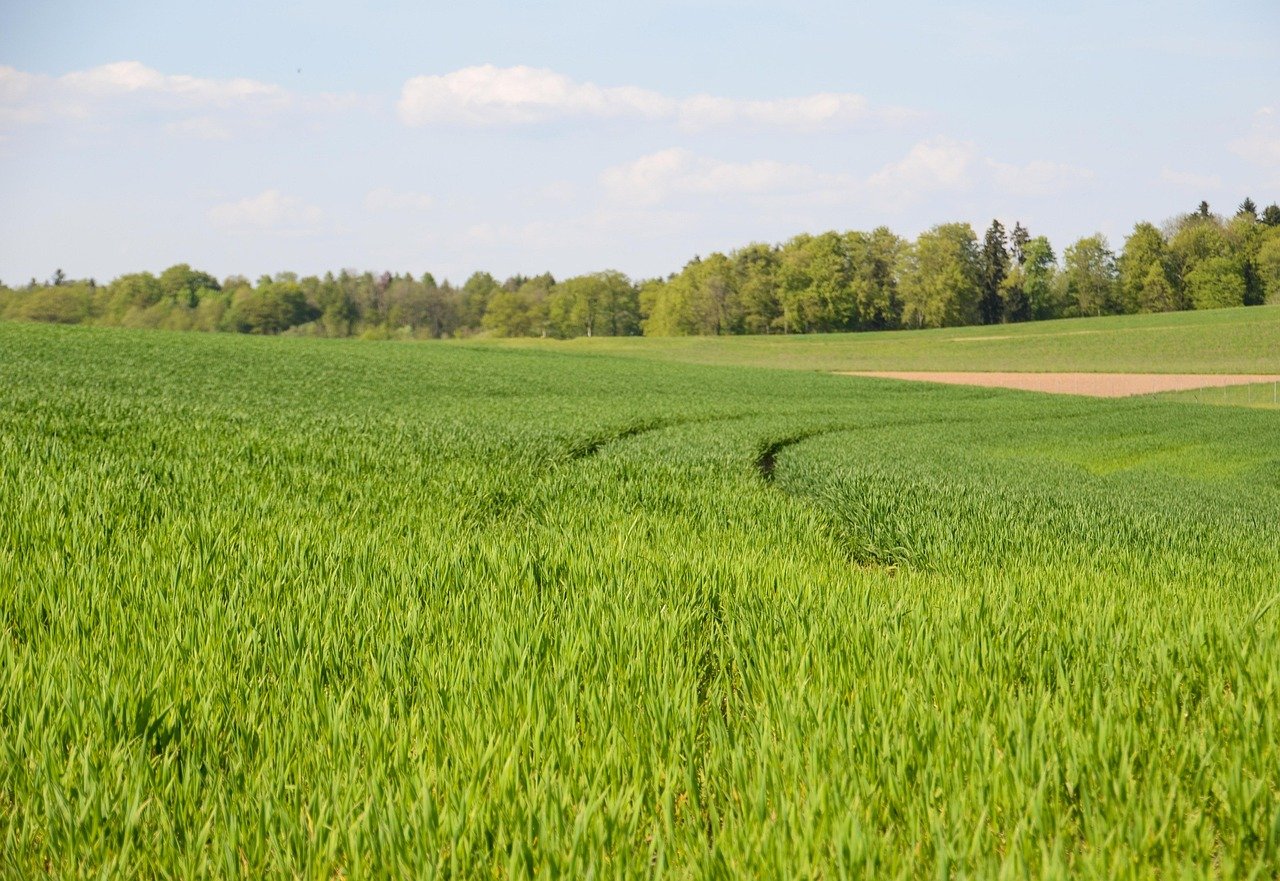 A Closer Look at Eco-Conscious Housing Projects in the U.S. Virgin Islands
