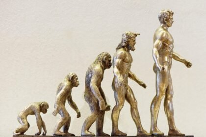 Preserving Paradise: Balancing Development and Conservation in Island Tourism