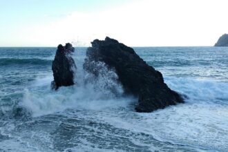The Art of Island Living: Crafting a Home with Coastal Aesthetics