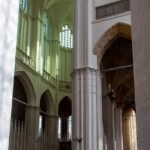 Biophilic Design: Creating Connection Between Homes and Nature