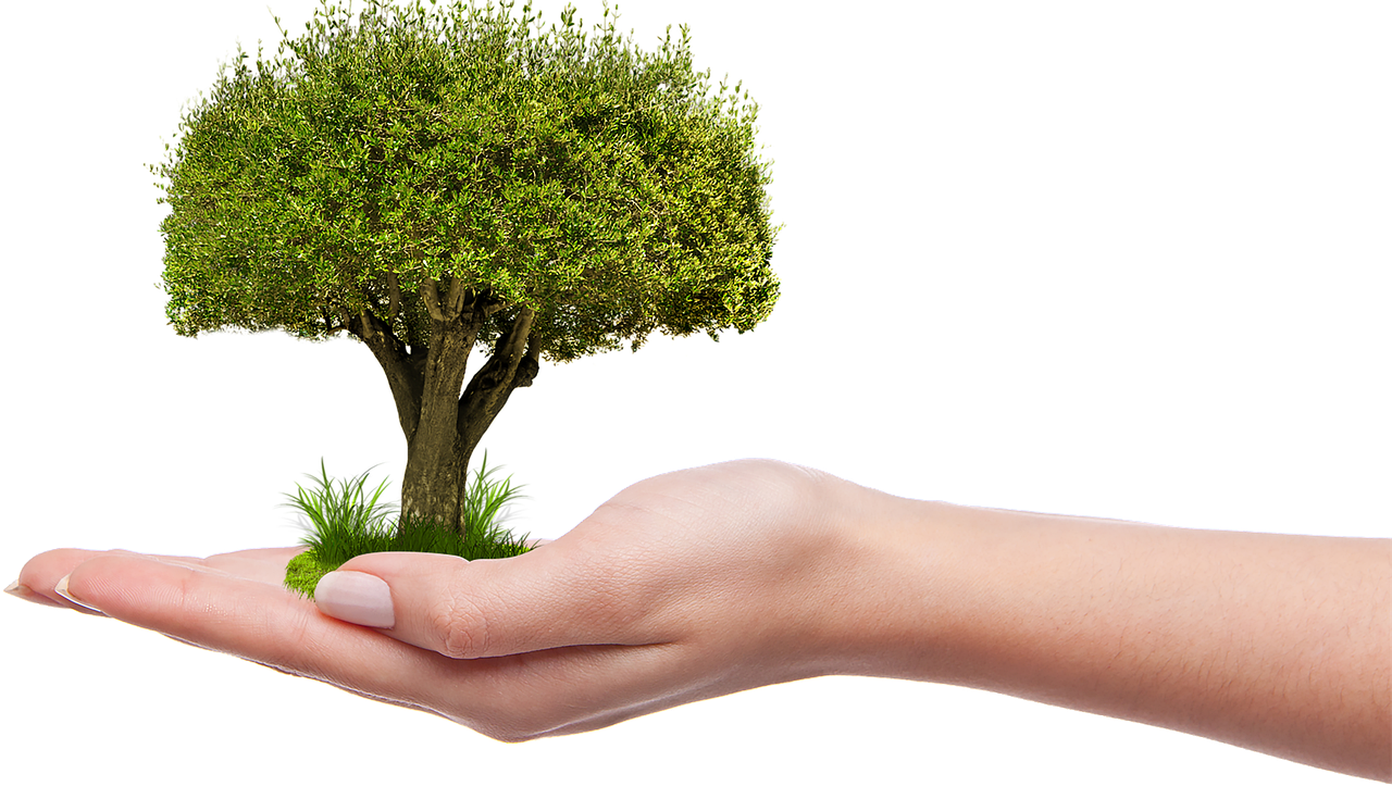 Green Architecture on America’s Islands: Innovative Solutions for a Sustainable Future