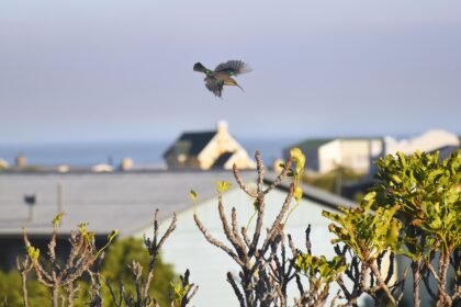 New Developments Transforming the Apartment Landscape in Major US Cities