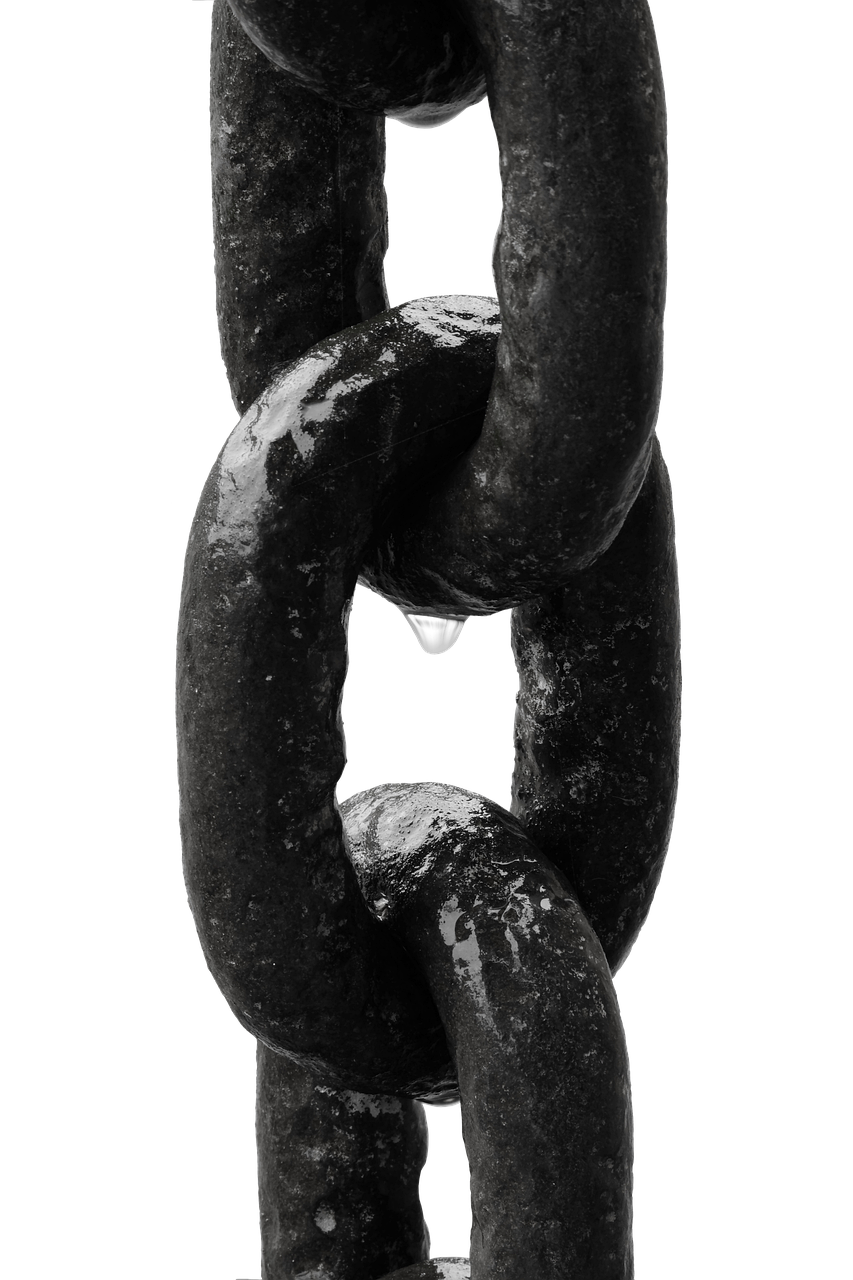 Supply Chain Adaptations: What They Mean for Future Real Estate Investments