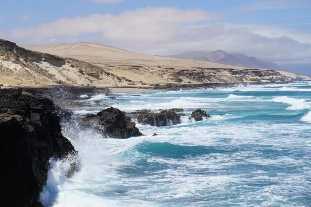 The Influence of Local Regulations on Island Construction Projects